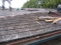 ��̍H���|�T