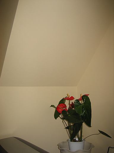 before�s�u��