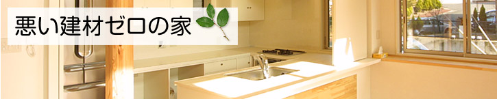 悪い建材ゼロの家