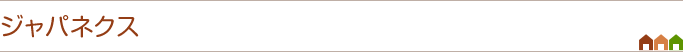 ジャパネクス