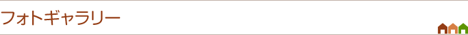 フォトギャラリー